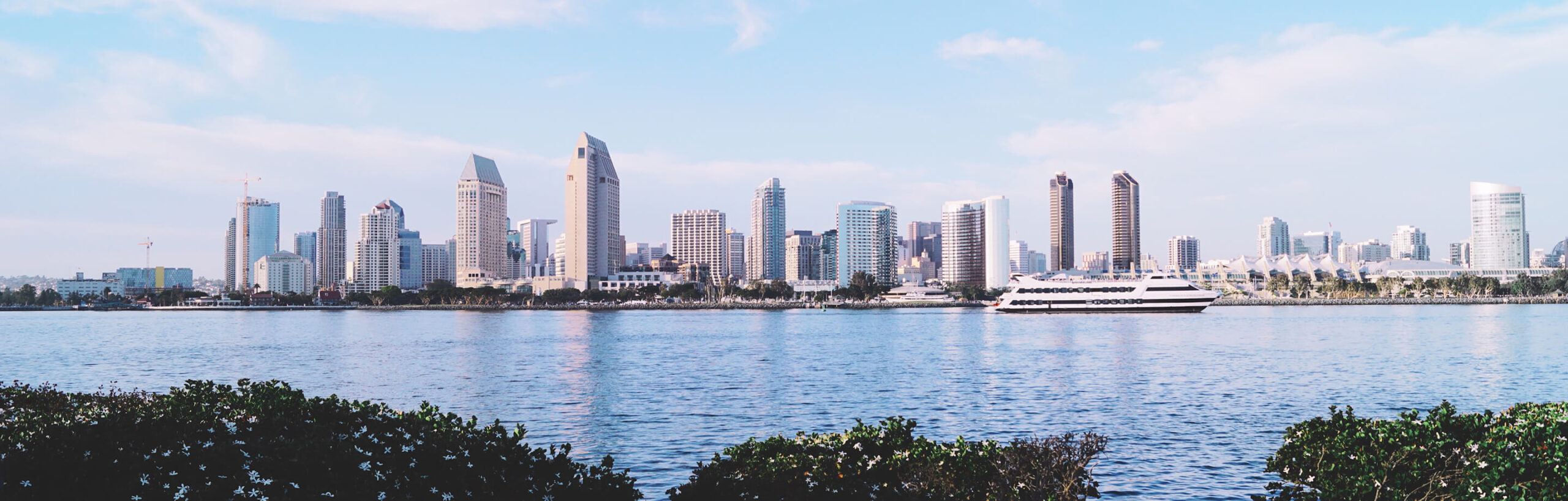 San Diego skyline with modern high-rise buildings, a large white yacht on the bay, and greenery in the foreground under a partly cloudy sky—home to top professionals like your trusted San Diego divorce attorney.